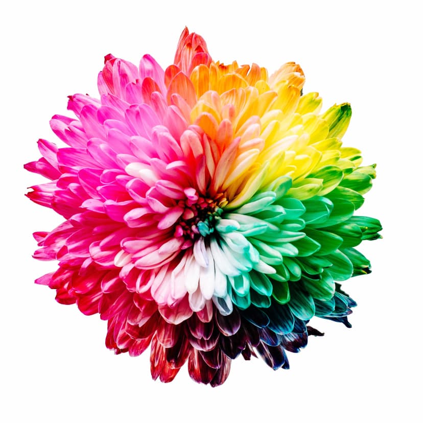 Genius is colorful